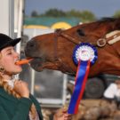 Comment assurer la santé d’un cheval de sport ?